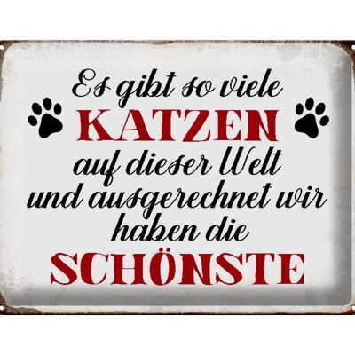 Blechschild Spruch 40x30cm wir haben die schönste Katze