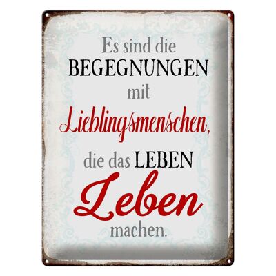 Blechschild Spruch 30x40cm Begegnungen Lieblingsmenschen