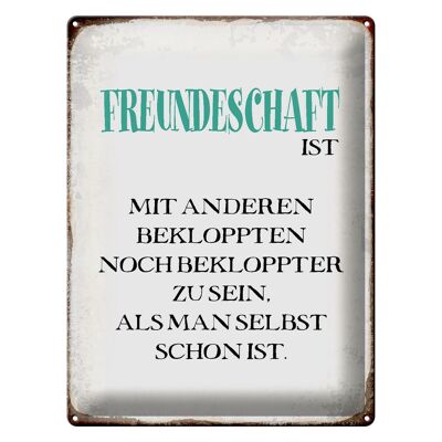 Blechschild Spruch 30x40cm Freundschaft ist mit anderen