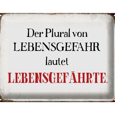 Blechschild Spruch 40x30cm plural von Lebensgefahr lautet