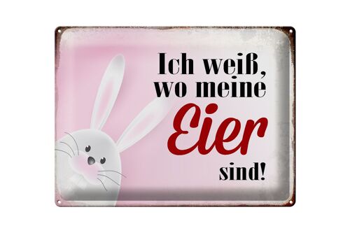 Blechschild Spruch 40x30cm Osterhase weiß wo Eier sind