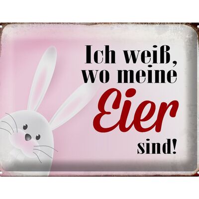 Blechschild Spruch 40x30cm Osterhase weiß wo Eier sind