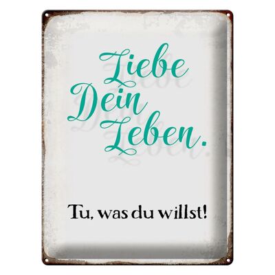 Blechschild Spruch 30x40cm liebe dein Leben tue was willst