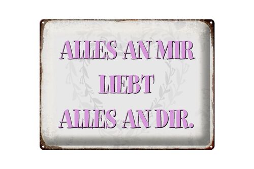 Blechschild Spruch 40x30cm alles an mir liebt alles an dir