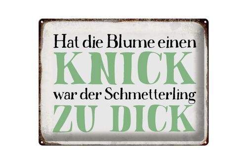 Blechschild Spruch 40x30cm Blume Knick Schmetterling dick