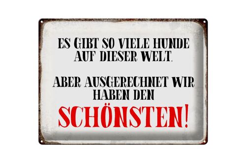 Blechschild Spruch 40x30cm wir haben den schönsten Hund