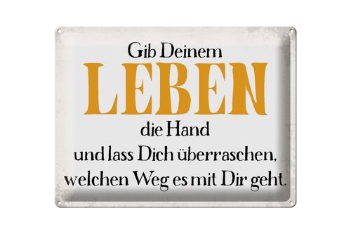 Blechschild Spruch 40x30cm gib deinem Leben die Hand