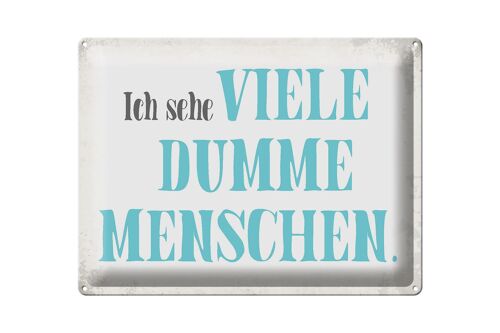 Blechschild Spruch 40x30cm ich sehe viele dumme Menschen