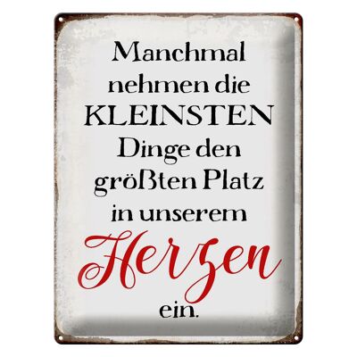 Blechschild Spruch 30x40cm die kleinsten Dinge größte Platz