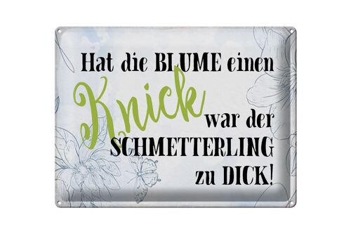 Blechschild Spruch 40x30cm hat Blume Knick Schmetterling