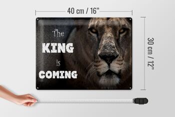 Plaque en tôle lion 40x30cm Le Roi arrive 4