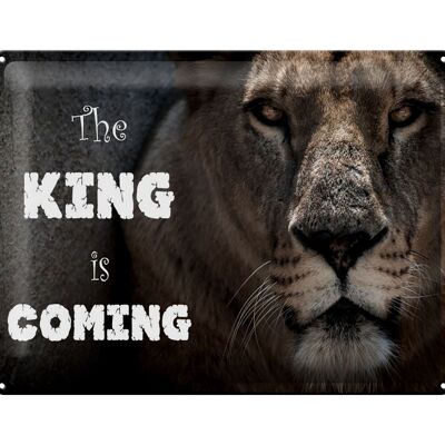 Metal sign lion 40x30cm The King is coming