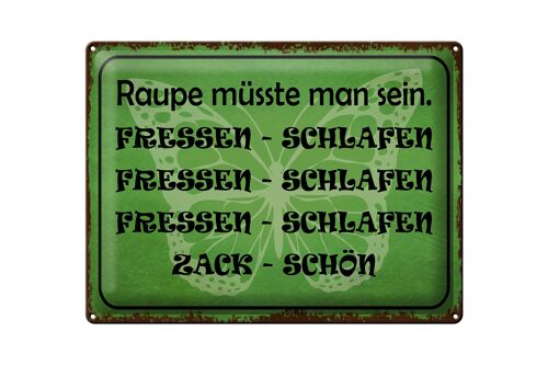 Blechschild Spruch 40x30cm Raupe sein fressen schlafen