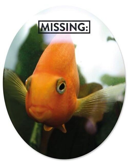 Toilet Sticker "Fish Missing"

Geschenk- und Designartikel 