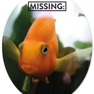 Toilet Sticker "Fish Missing"

Geschenk- und Designartikel 