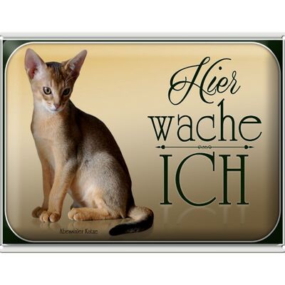 Blechschild Katze 40x30cm Abessinier Katze hier wache ich