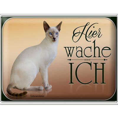 Tin sign cat 40x30cm Balinese cat here I watch