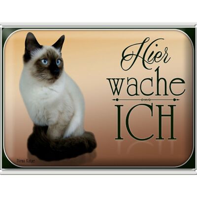 Blechschild Katze 40x30cm Birma Katze hier wache ich