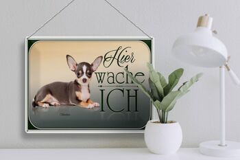 Plaque en tôle chien 40x30cm Welsh Corgi ici je me réveille 3