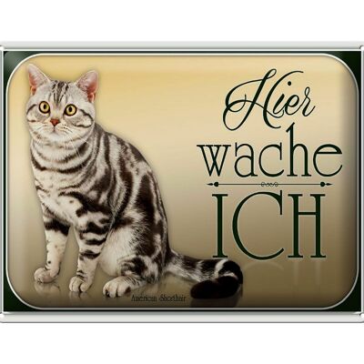 Blechschild Katze 40x30cm American Shorthair hier wache