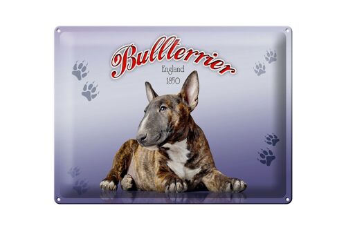 Blechschild Hund 40x30cm Bullterrier England 1850