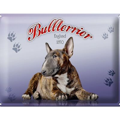 Tin sign dog 40x30cm Bull Terrier England 1850