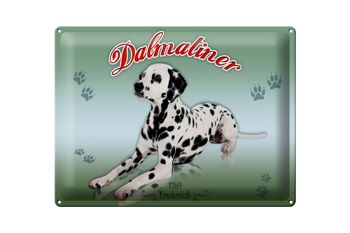 Plaque en tôle chien 40x30cm Dalmatien 1769 France 1