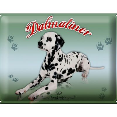 Targa in metallo cane 40x30 cm Dalmata 1769 Francia