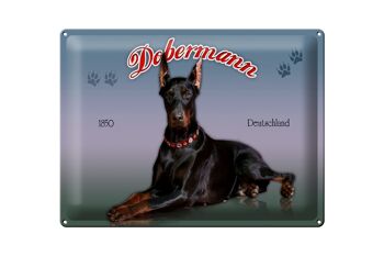 Plaque en tôle chien 40x30cm Doberman 1850 Allemagne 1