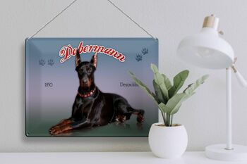 Plaque en tôle chien 40x30cm Doberman 1850 Allemagne 3