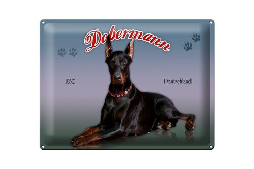 Blechschild Hund 40x30cm Dobermann 1850 Deutschland