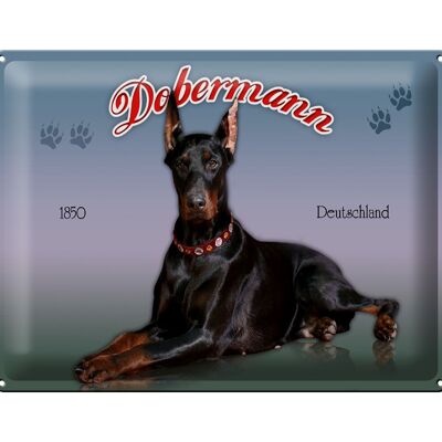 Cartel de chapa perro 40x30cm Doberman 1850 Alemania