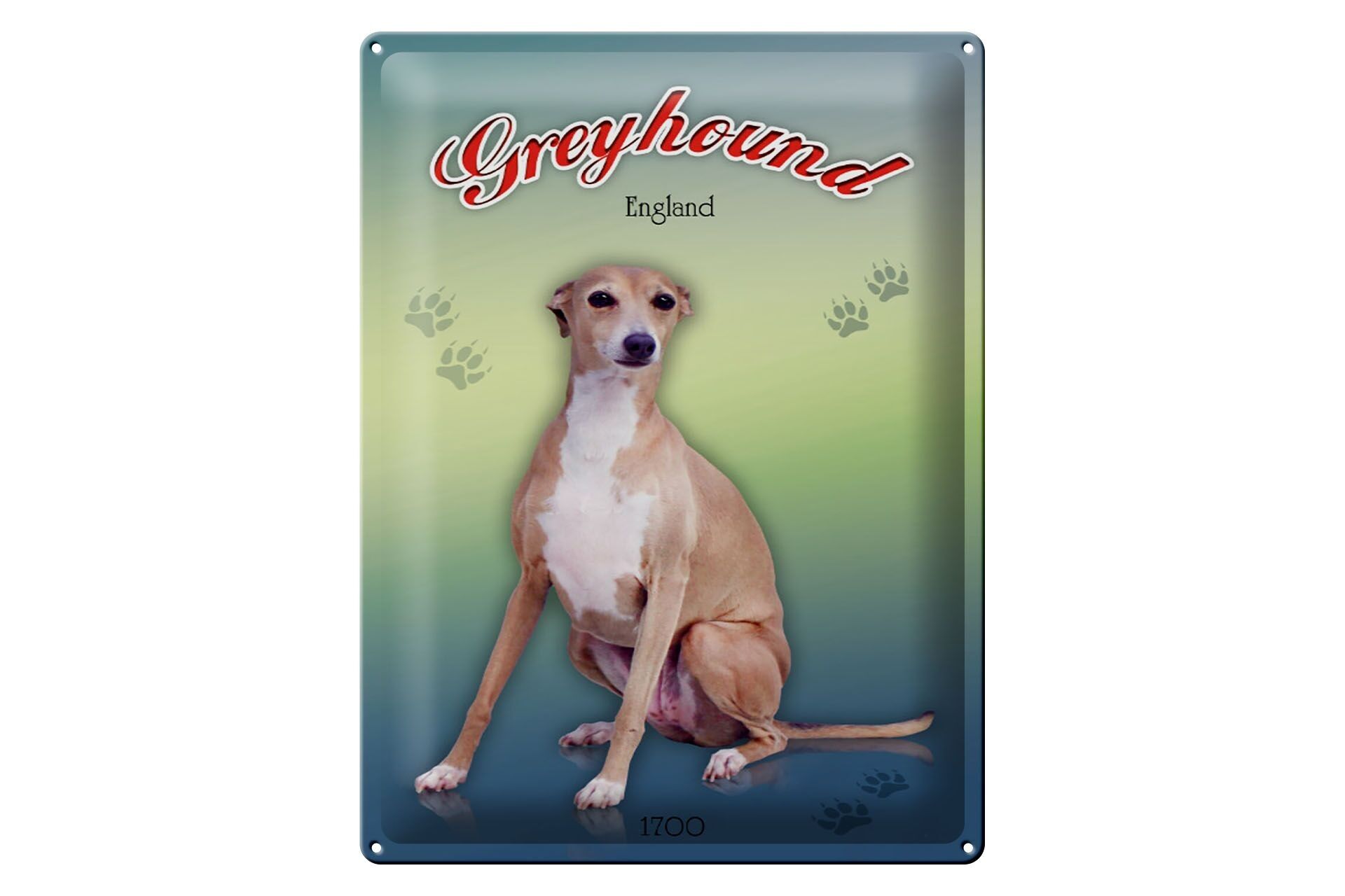 Cartel de chapa perro 30x40cm Galgo Inglaterra