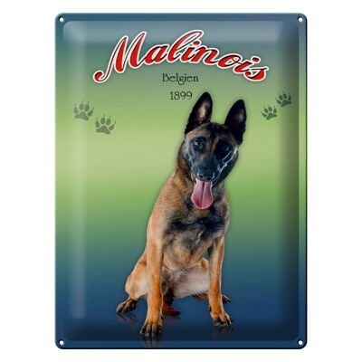 Blechschild Hund 30x40cm Malinois Belgien 1899