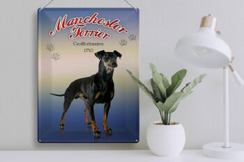 Plaque en tôle chien 30x40cm Manchester Terrier Grande-Bretagne 3