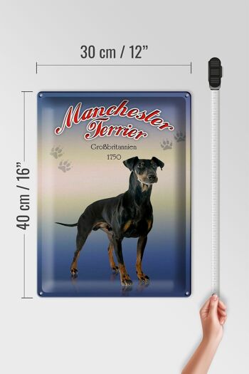 Plaque en tôle chien 30x40cm Manchester Terrier Grande-Bretagne 4