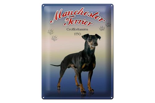 Blechschild Hund 30x40cm Manchester Terrier Großbritannien