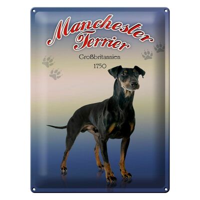 Plaque en tôle chien 30x40cm Manchester Terrier Grande-Bretagne