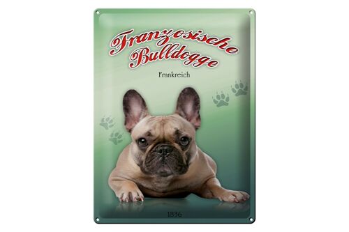 Blechschild Hund 30x40cm Französische Bulldogge