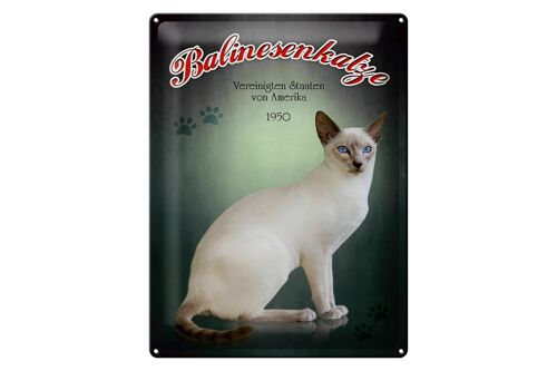 Blechschild Katze 30x40cm Balinesenkatze Amerika 1950