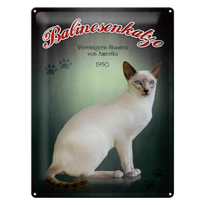 Blechschild Katze 30x40cm Balinesenkatze Amerika 1950