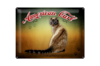 Plaque en tôle chat 40x30cm American Curl décoration murale 1
