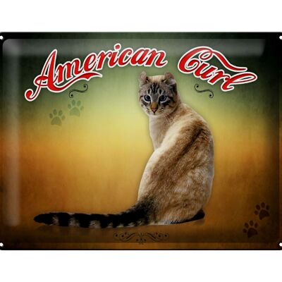 Cartel de chapa gato 40x30cm decoración de pared American Curl