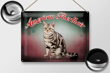 Plaque en tôle chat 40x30cm American Shorthair, décoration murale 2