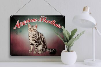 Plaque en tôle chat 40x30cm American Shorthair, décoration murale 3