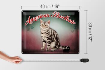 Plaque en tôle chat 40x30cm American Shorthair, décoration murale 4