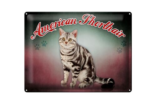 Blechschild Katze 40x30cm American Shorthair Wanddeko