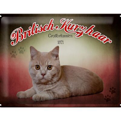 Cartel de chapa gato 40x30cm British Shorthair Gran Bretaña