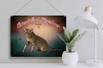 Plaque en tôle chat 40x30cm Oriental Shorthair Angleterre 3