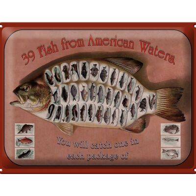 Plaque métallique poisson 40x30cm 39 Poissons des eaux américaines